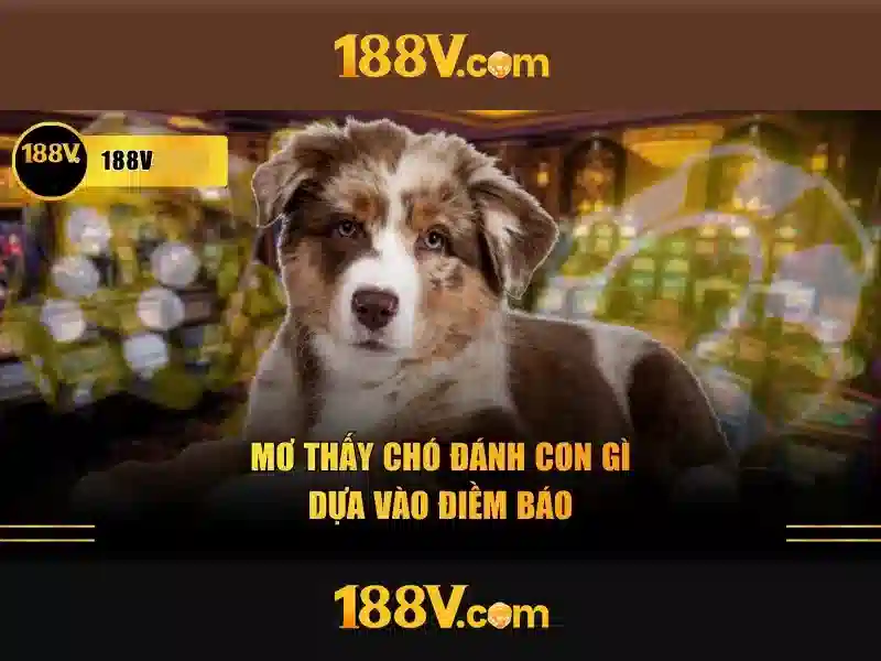 hai con gà trống đá - 555 win
