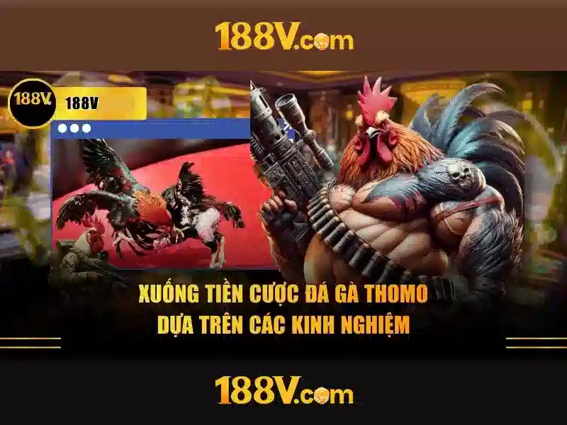 Ứng dụng hiện tại