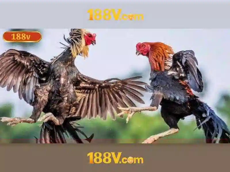 Nguồn gốc và cách đo lường 188V