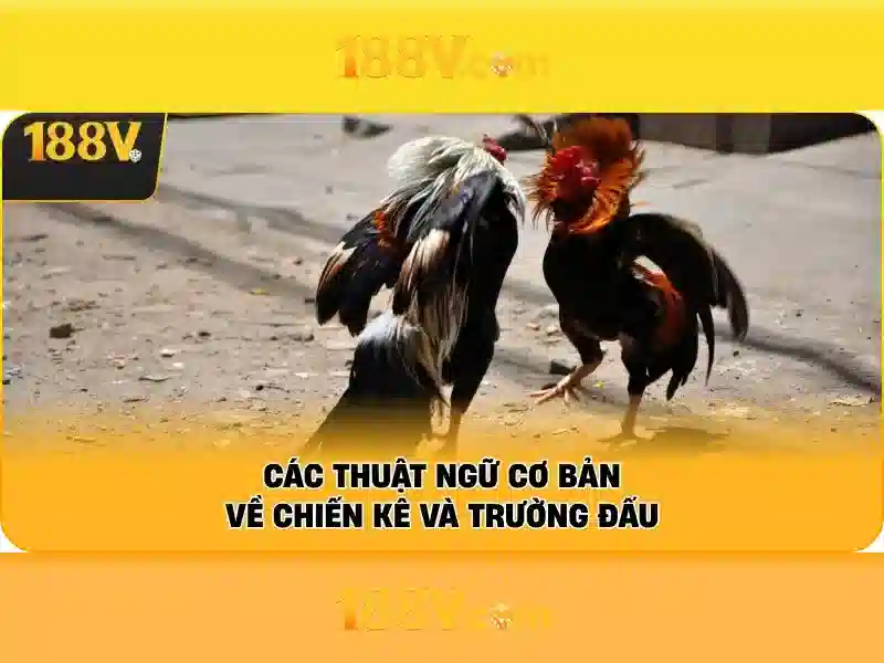 188v: một hành trình số giữa ký ức và công nghệ Giao diện nhà cái hoàn hảo