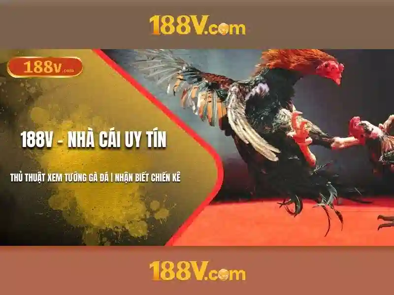 Định nghĩa và đặc tính cơ bản