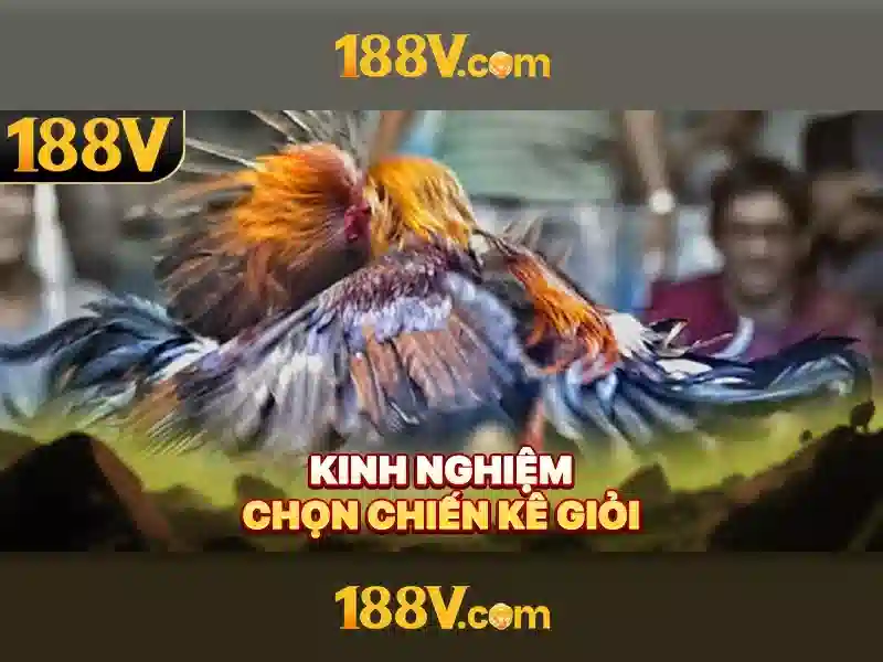 Giao diện nhà cái hoàn hảo