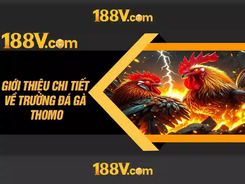 Ảnh hưởng và thách thức