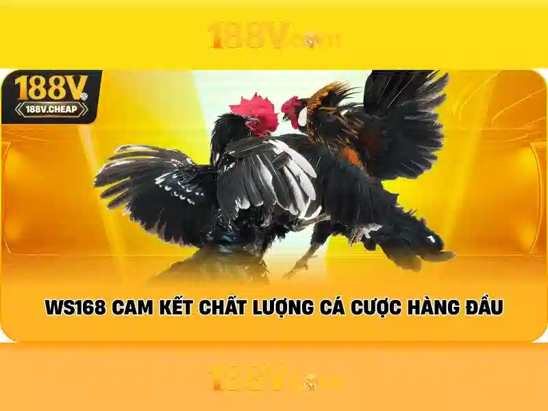 Ứng dụng và tác động