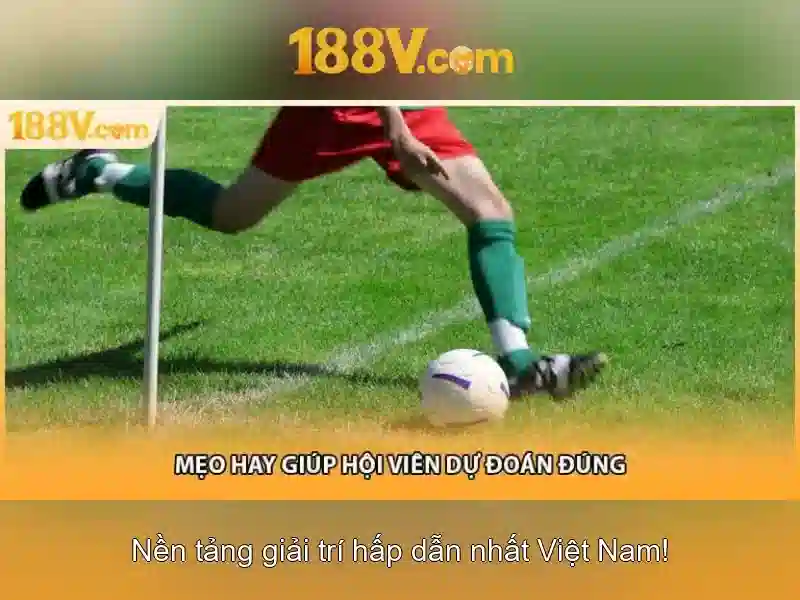 nhà cái a51 - aliorder.vn