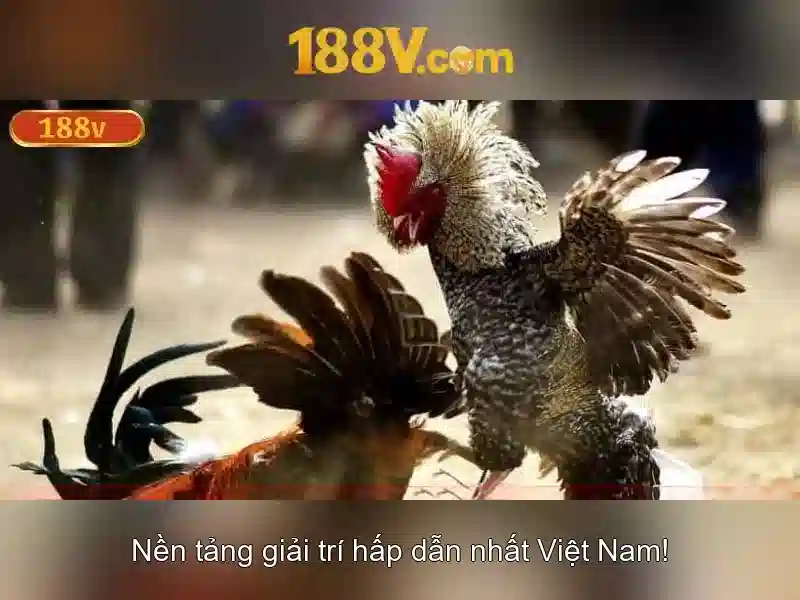 188V: Tìm hiểu về điện áp 188V và ứng dụng Giao diện nhà cái hoàn hảo