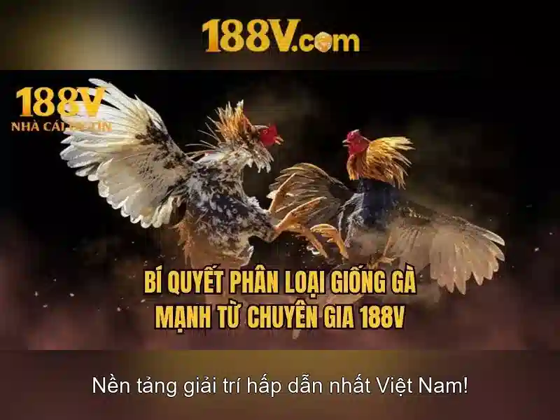 Ứng dụng và khám phá