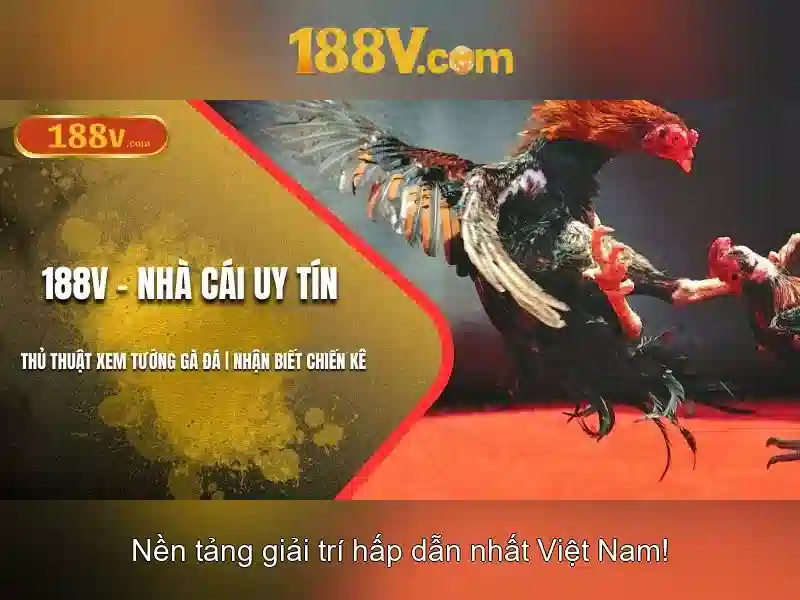 Khái niệm 188V và những tiềm năng Giao diện nhà cái hoàn hảo