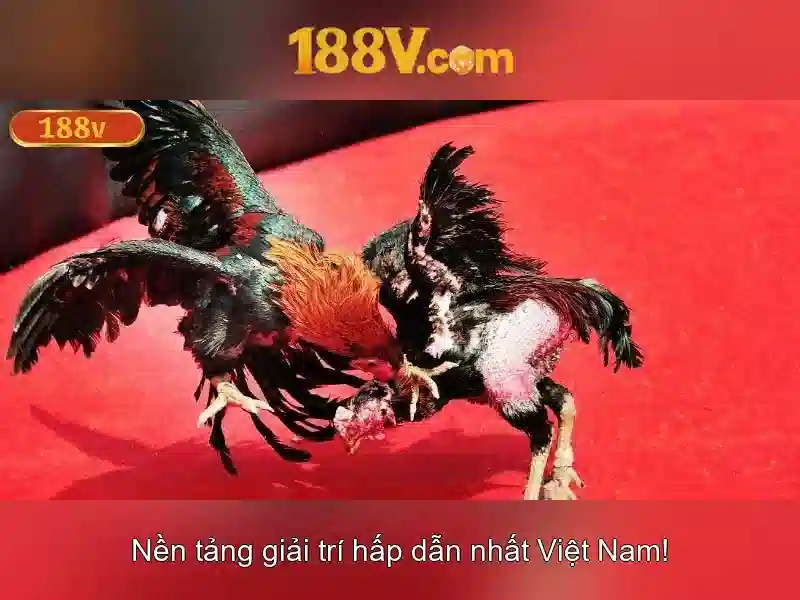 188V: Hiểu biết về điện áp và an toàn Giao diện nhà cái hoàn hảo