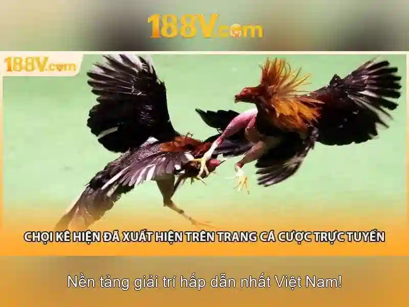 Cac-tich-diem-va-khuyen-mai