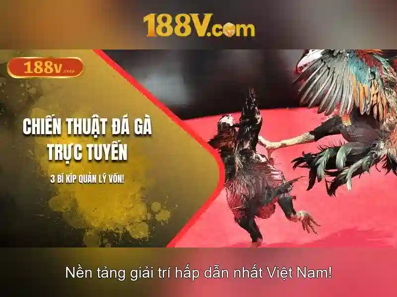 Ứng dụng và lợi ích của 188v