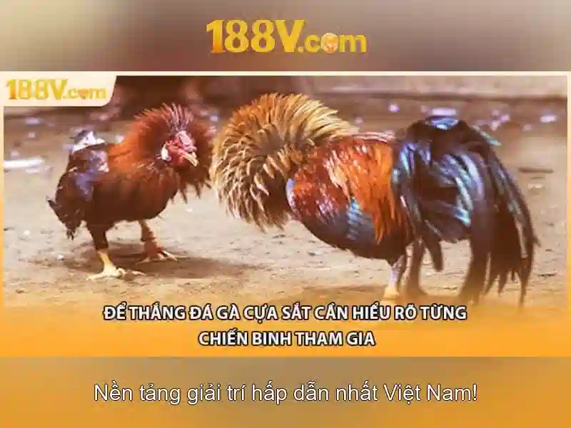 nhung luu y an toan khi lam viec voi 188v
